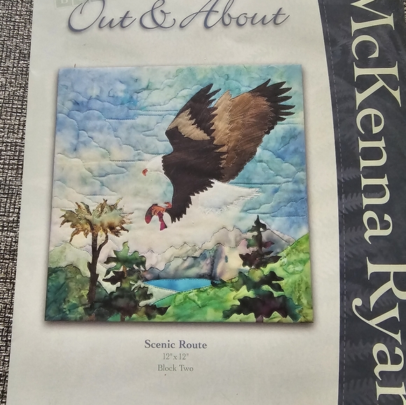 Out & About Quilt Pattern By McKenna Ryan - Picture 3 of 10